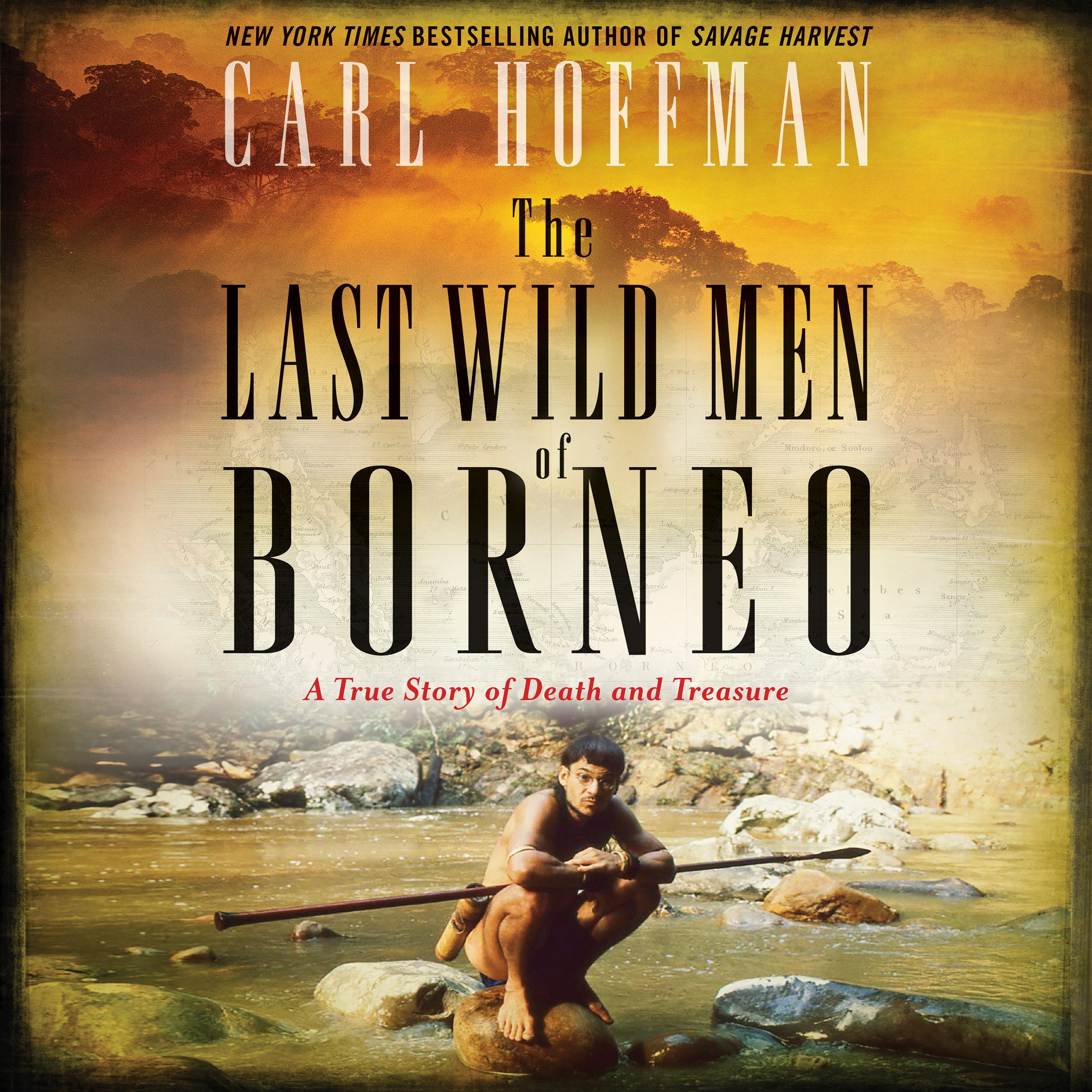 Cover art for The Last Wild Men of Borneo