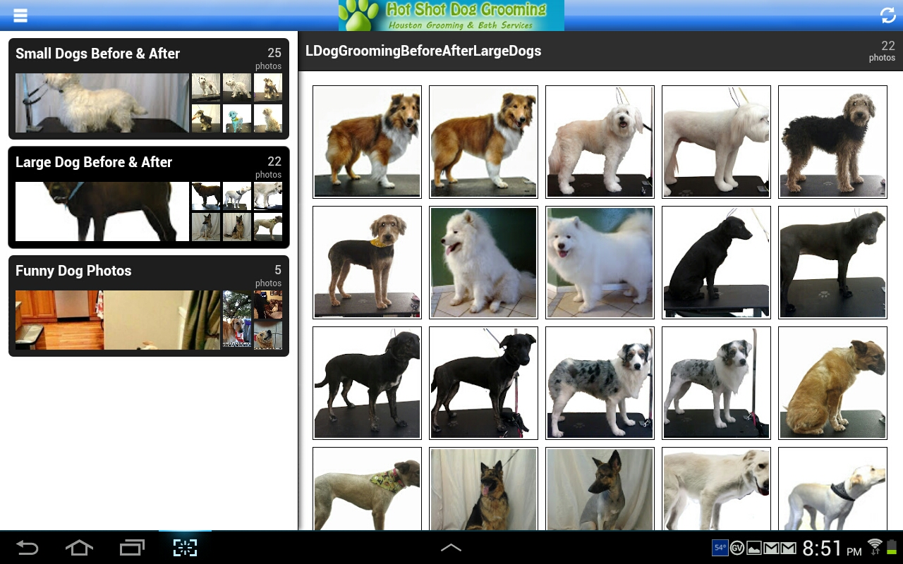 Hot Shot Dog Grooming App on Amazon Appstore