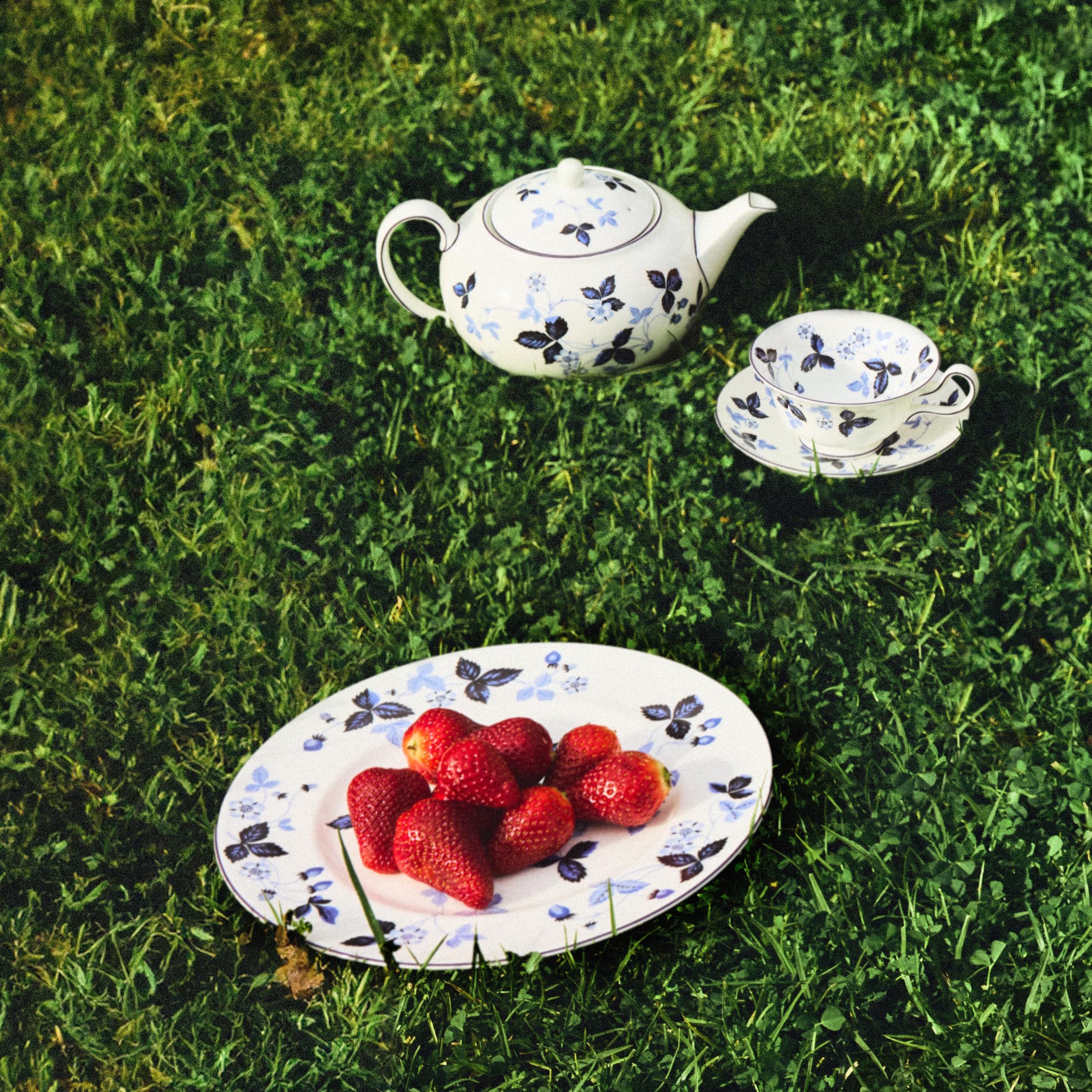  WILD STRAWBERRY 皿 Amazon.com | Wedgwood Wild Strawberry Bowl 6.2in: Serving Bowls