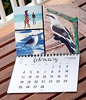 Vista 2 de 2018 Wall Calendar (The Real Backyard Birds of Rio de Janeiro)