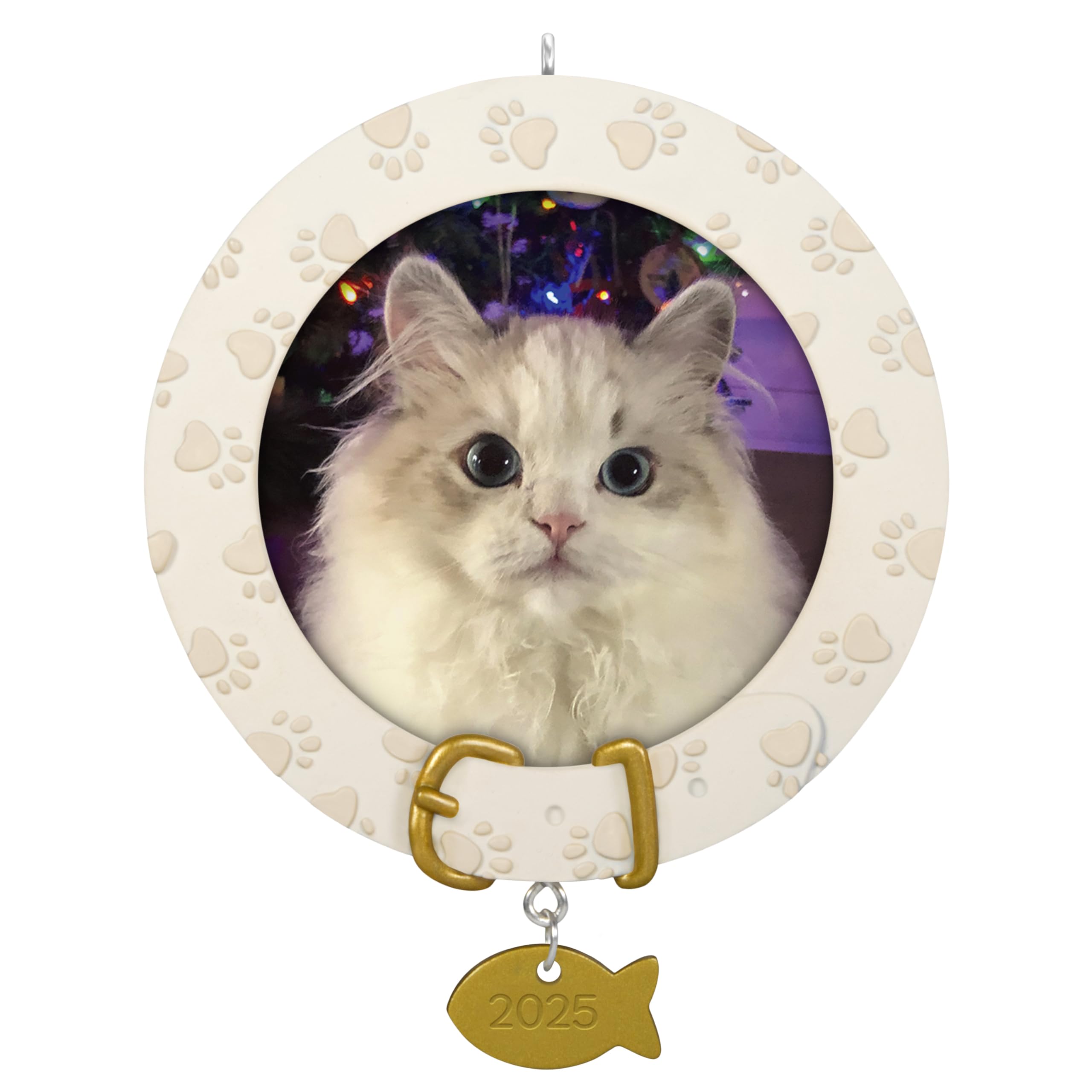 Hallmark Keepsake Furry Friend 2025 Photo Frame Christmas Ornament 2025, Pet Gifts