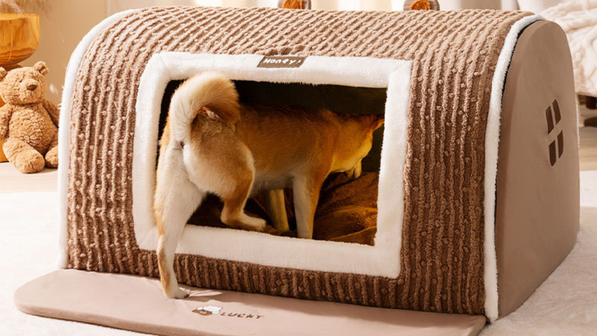 Amazon | REENEW 犬ハウス ペットハウス ドーム型 室内 秋冬用 猫
