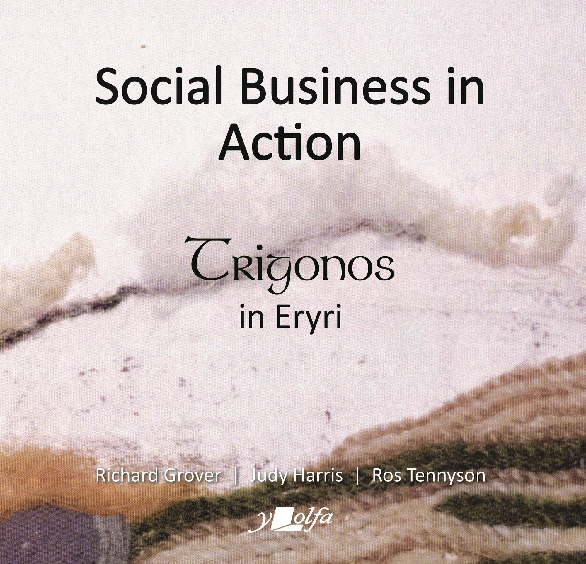 Social Business in Action  Trigonos in Eryri by Judy Harris PAPERBACK