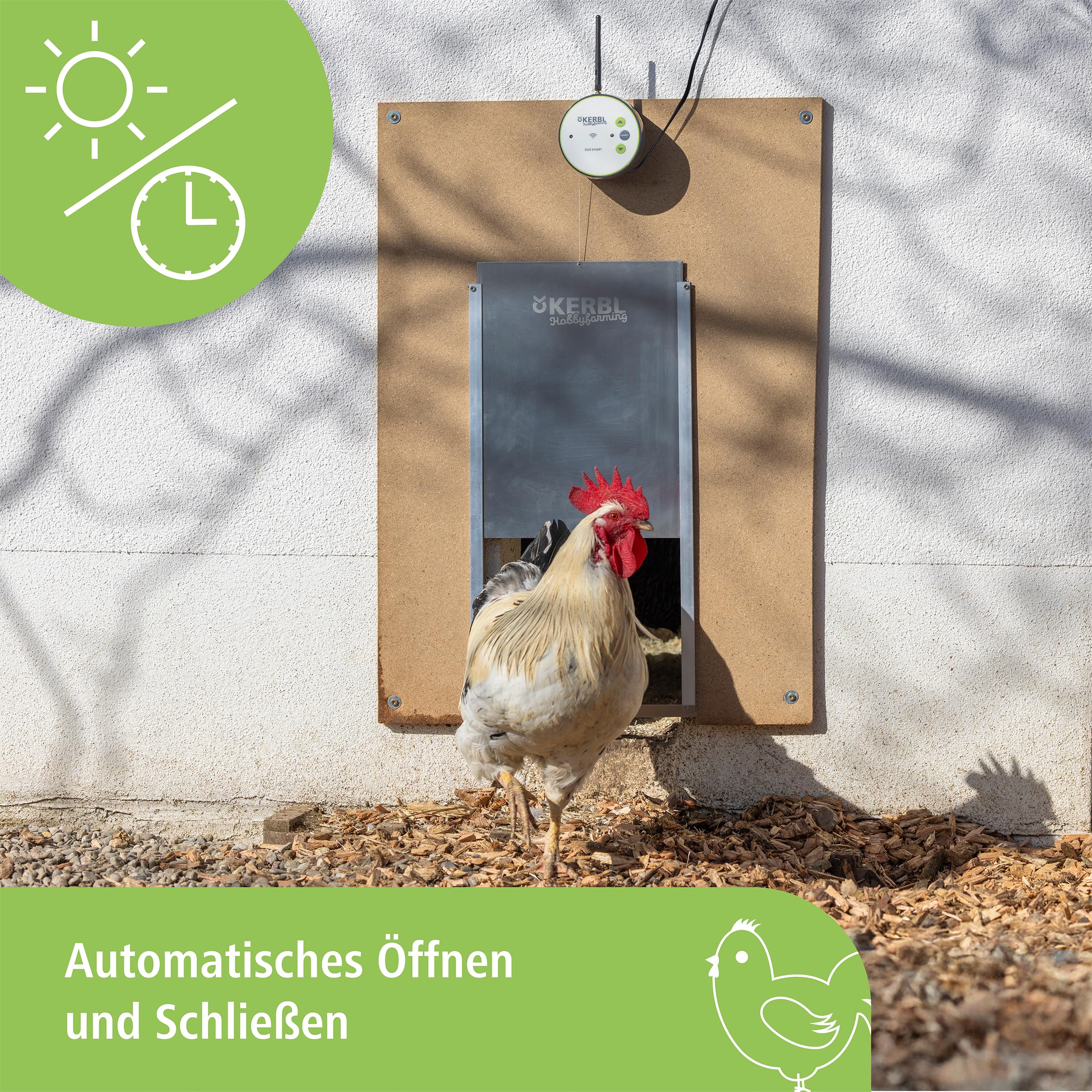 Kerbl Hobbyfarming Steuerung Duo Smart, Hühnerklappe, grau/grün, Tageslicht- und Zeitsteuerung, Bedienung über App