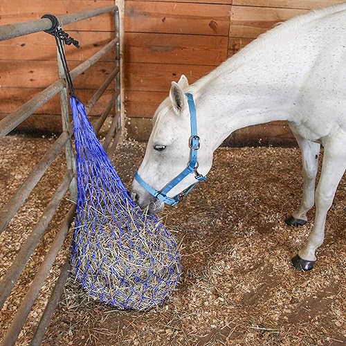 Vista 4 de Majestic Ally Red para heno, juego de 2, longitud: 54 pulgadas, agujeros de 3 x 3 pulgadas para caballos