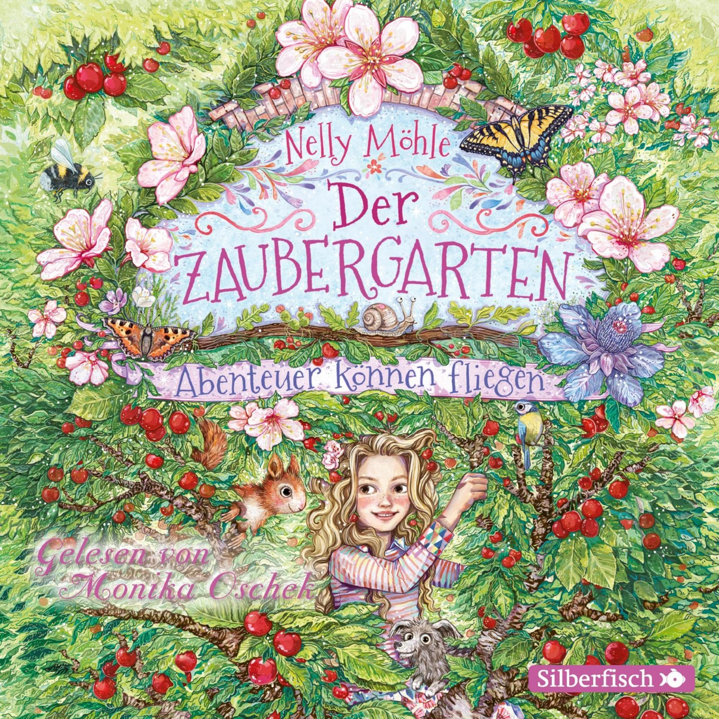 Cover art for Abenteuer können fliegen