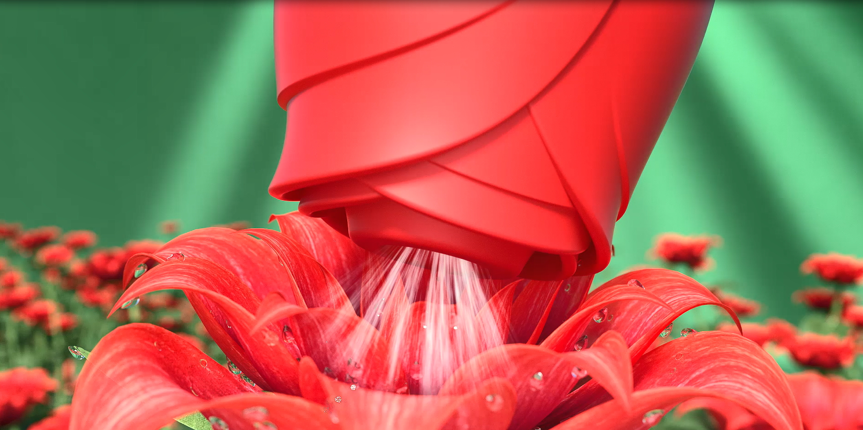 Amazon.com: rose sex toy