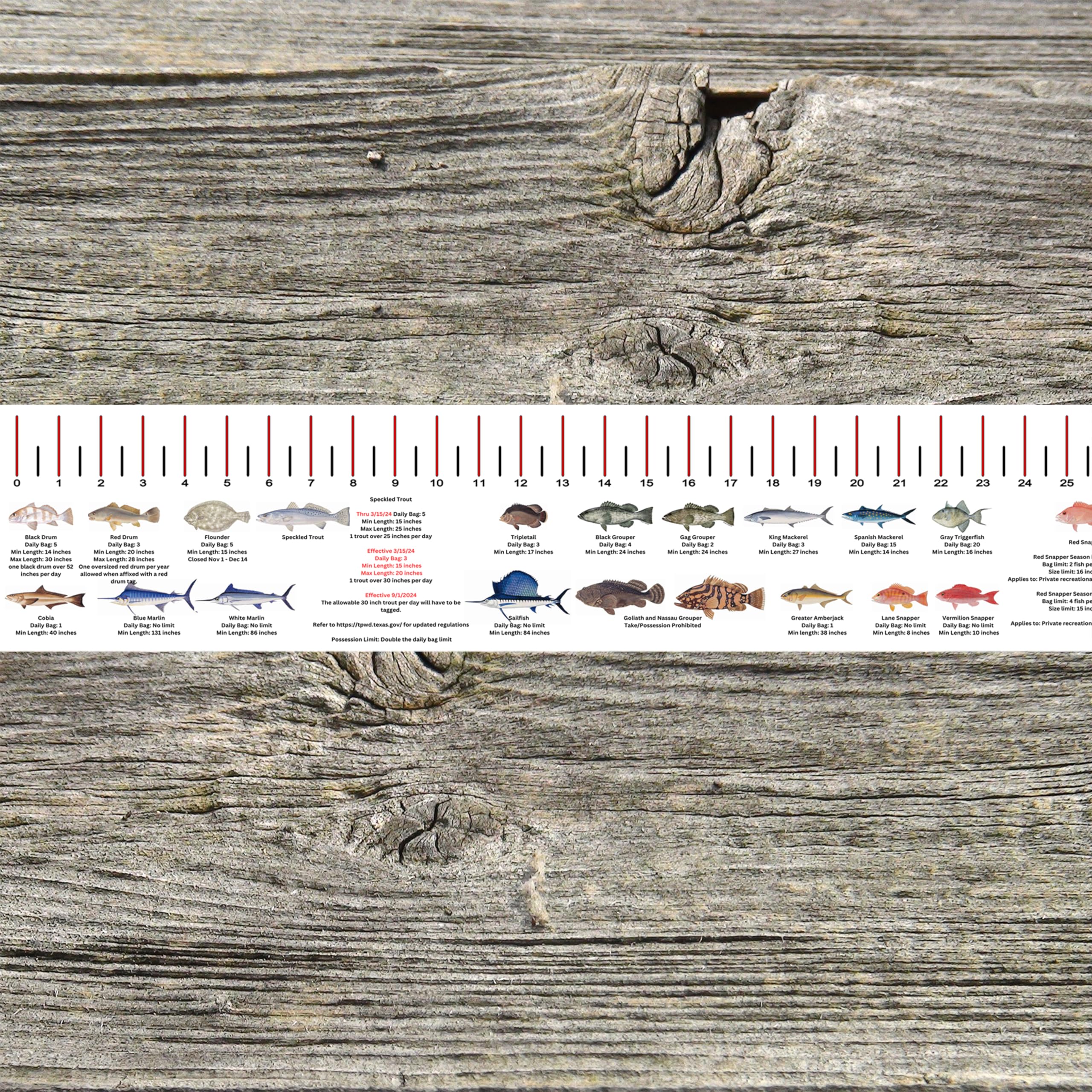 STATE COASTAL FISH RULER with FISH ID and FISHING REGULATIONS - 50 INCH RULER DECALS