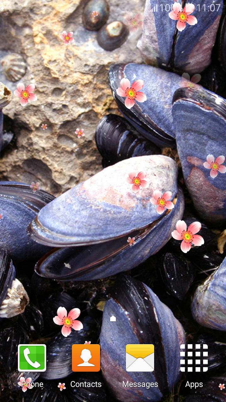 Shell Live Wallpapers - App on Amazon Appstore