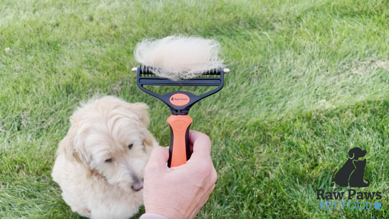 Raw Paws Pet Deshedding Tool & Undercoat Rake for Dogs & Cats - Cat Deshedding Tool for Cats - Dog Deshedding Tool for… - Image 8
