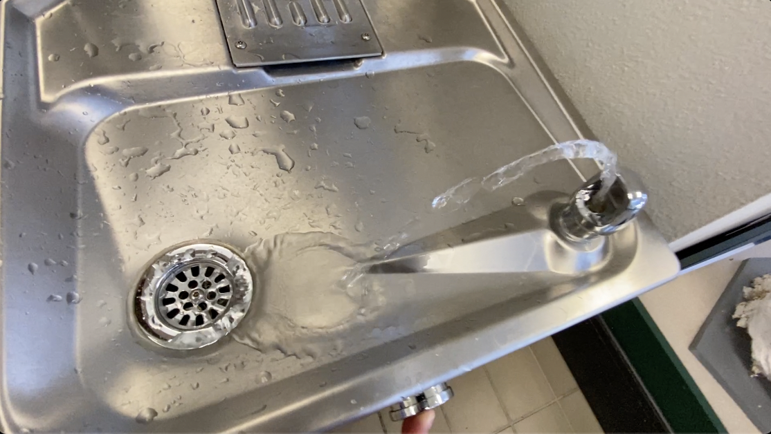 Best Drinking Fountain? | Elkay Water Fountain w/ Bottle Filler