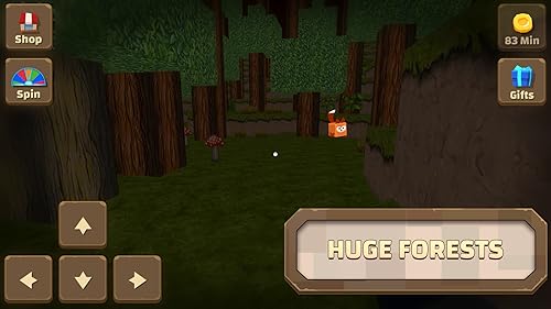 Adventure Craft 3D