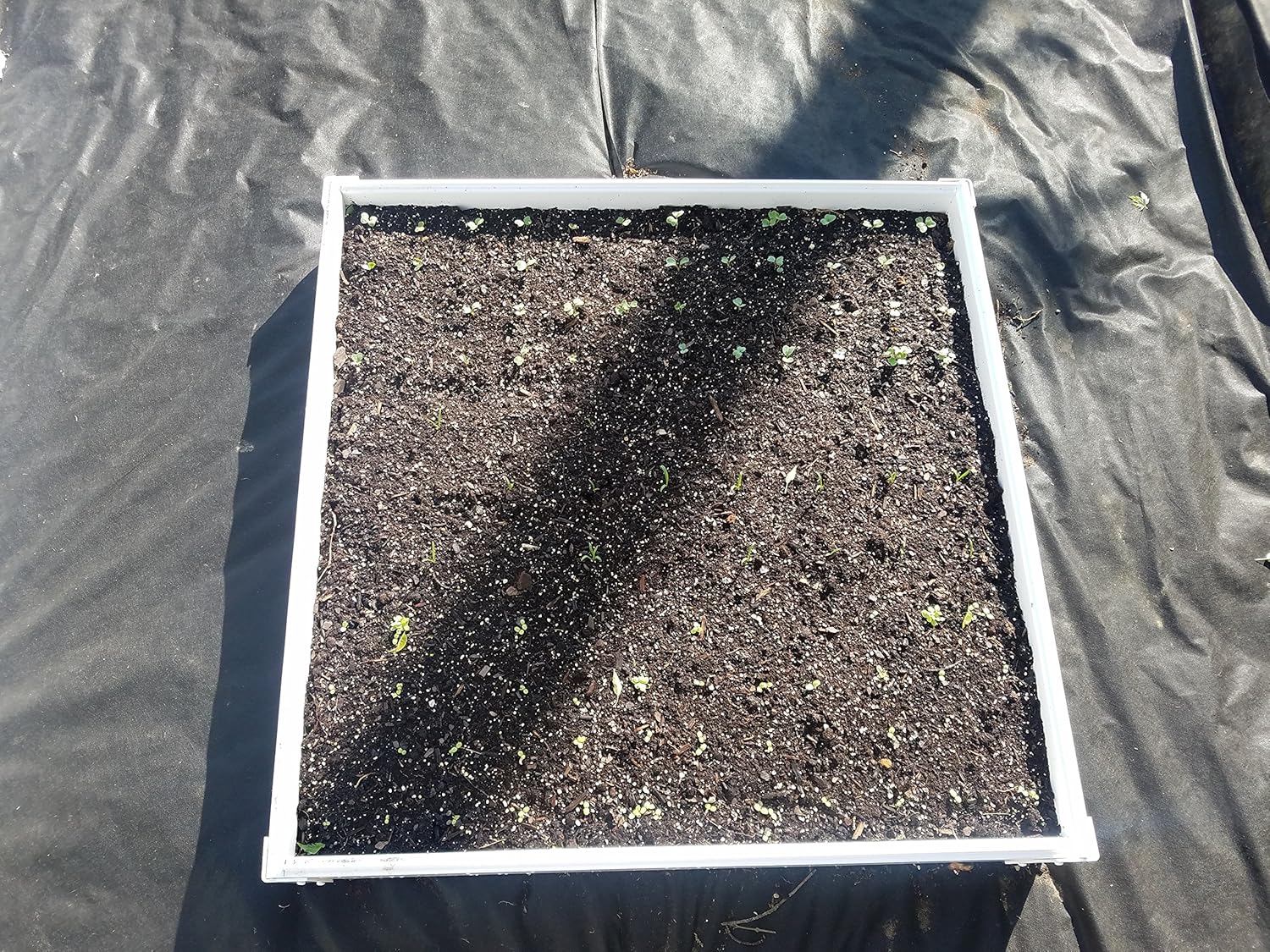 3 x 3 Square Foot Design, Stack-able, White, Vinyl, Raised Garden Bed