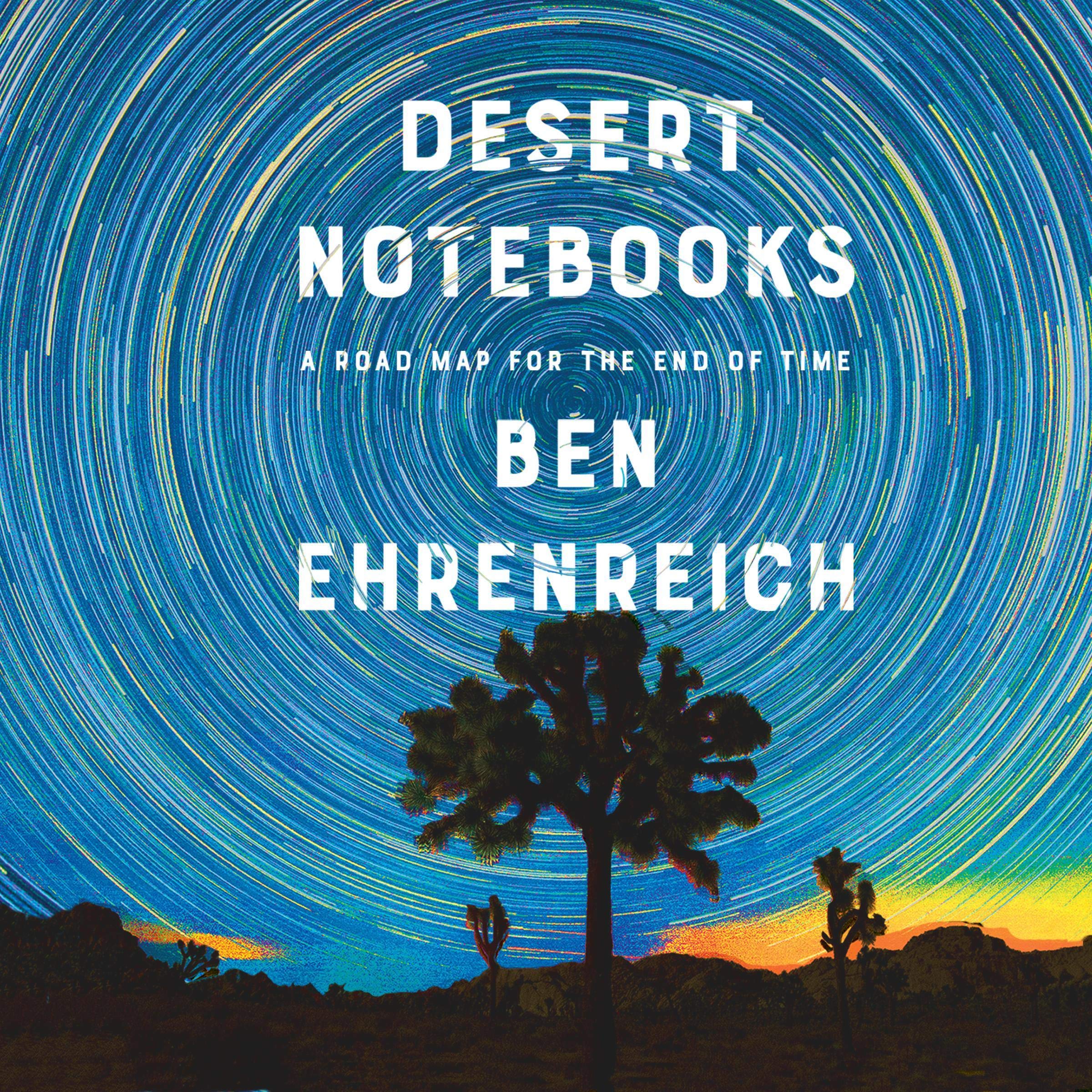 Cover art for Desert Notebooks