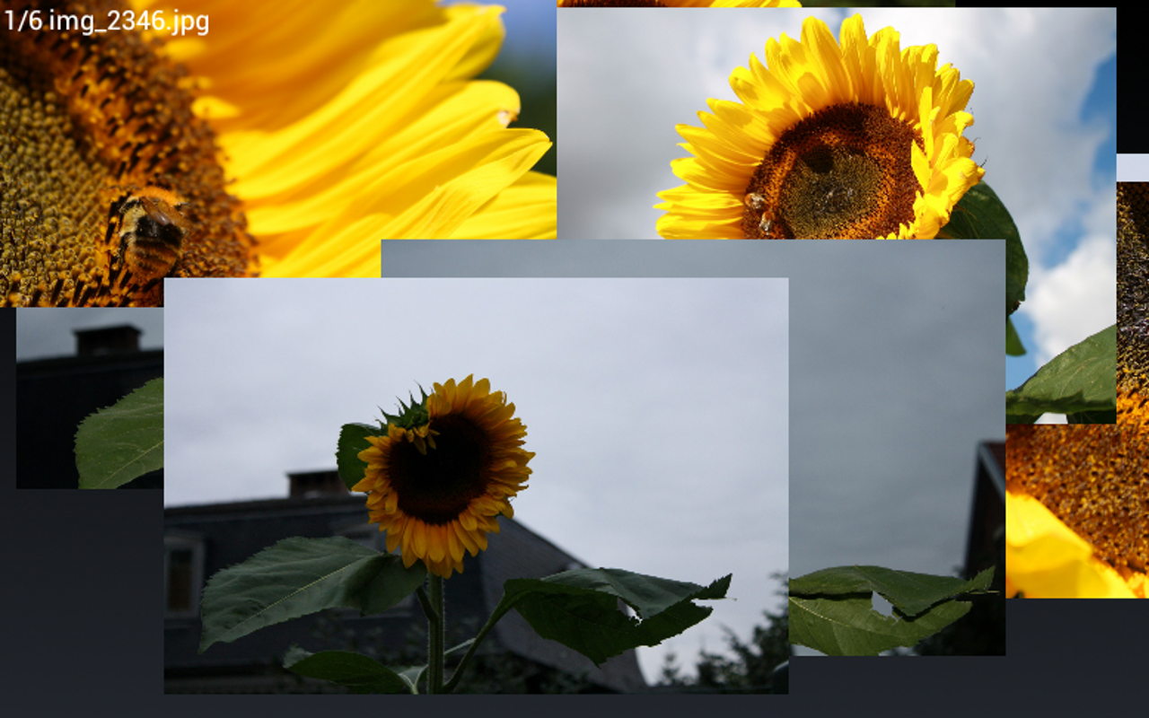 Photo Frame Slideshow Premium App on Amazon Appstore