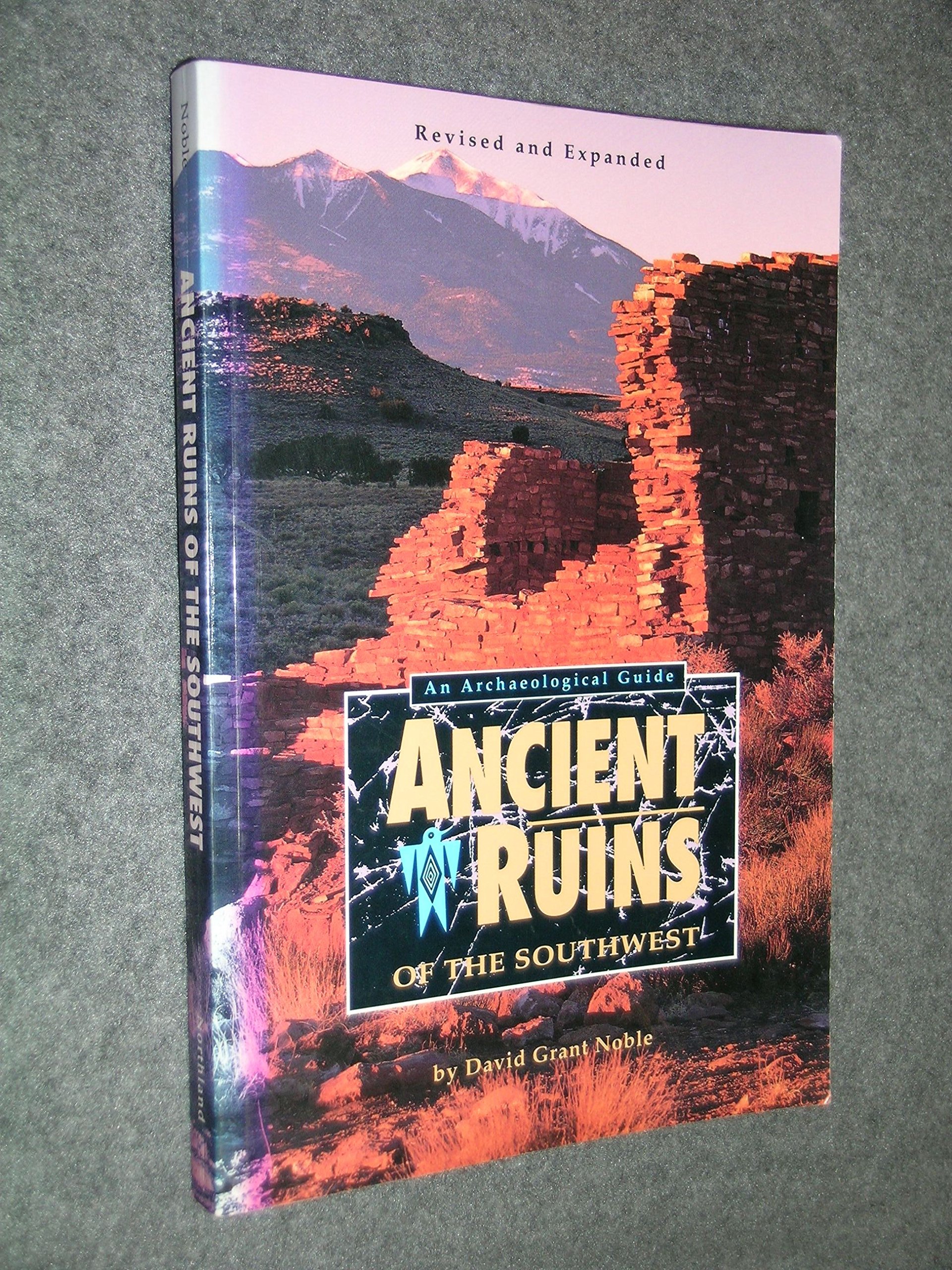 Buy Ancient Ruins — BookShops.in
