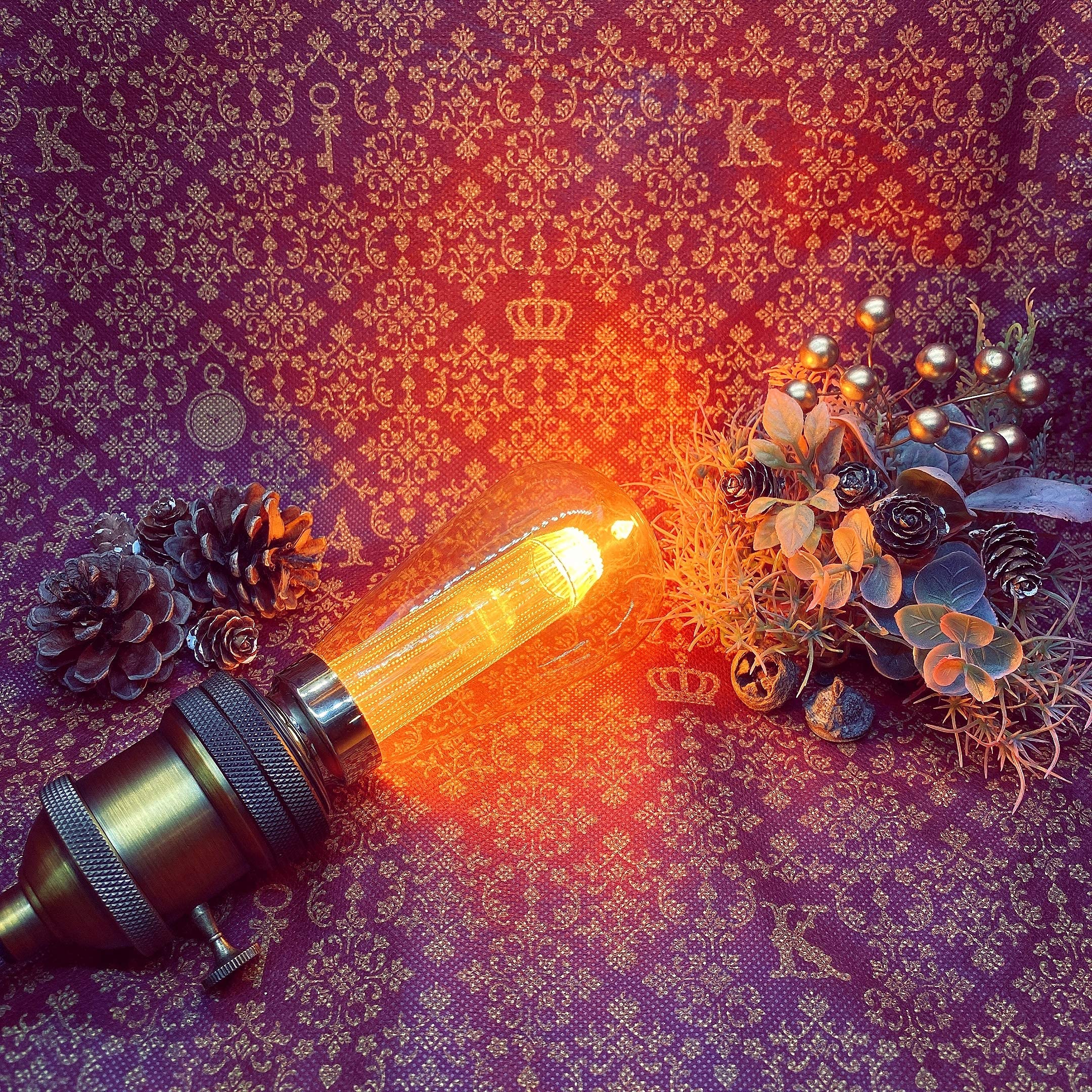 Amazon | RADIANT LEDエジソン電球 E26 LED電球 電球色 エジソンバルブ