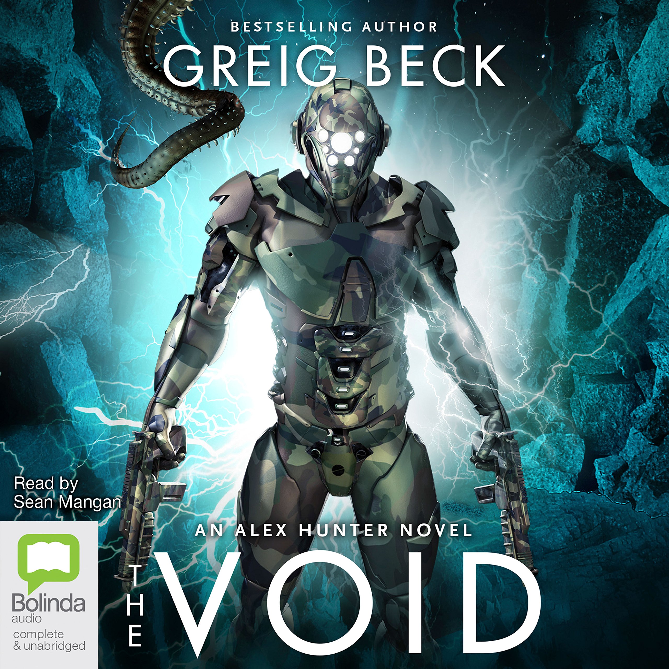 Cover art for The Void