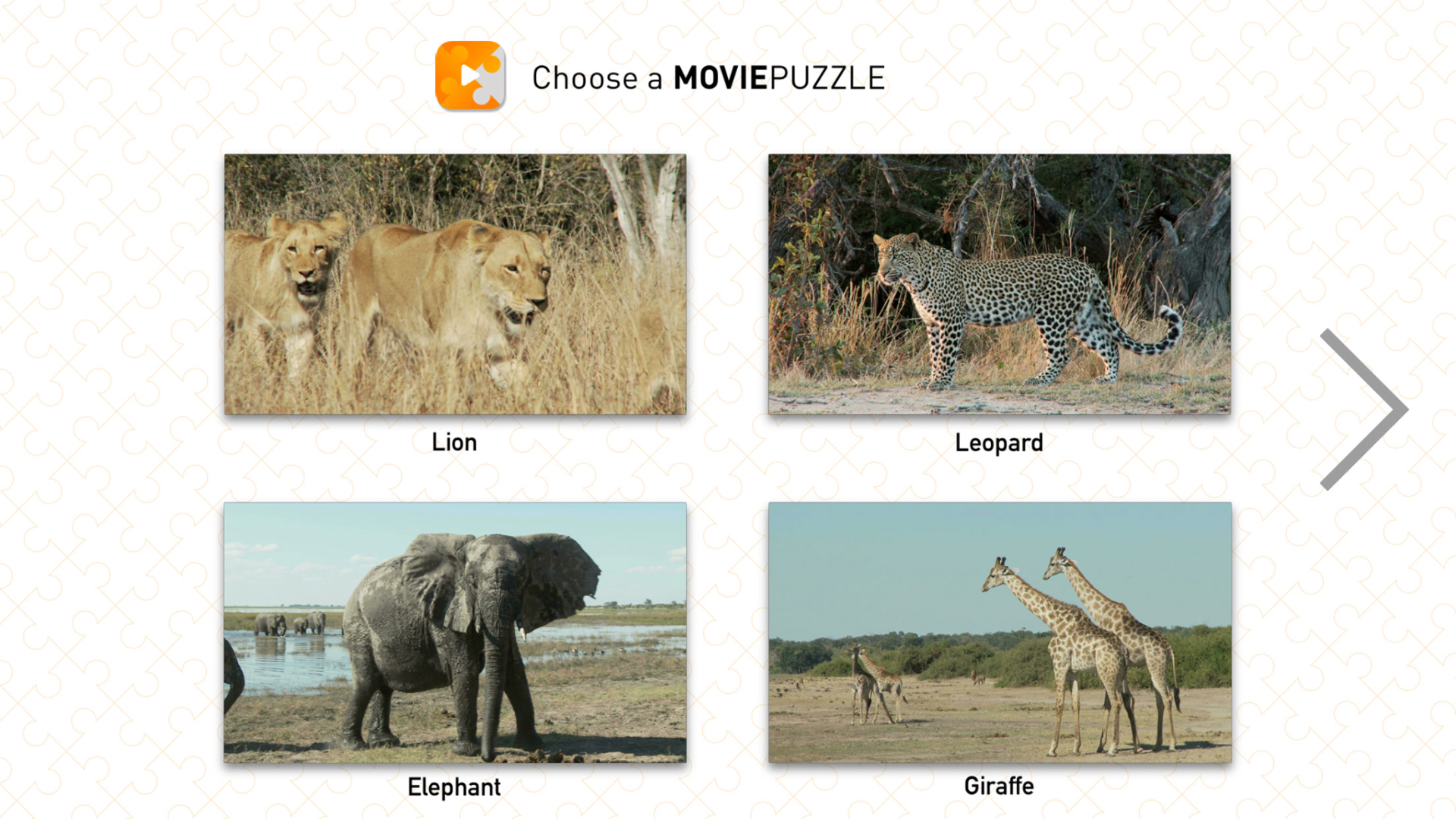 Moviepuzzles Wild Animals App On Amazon Appstore