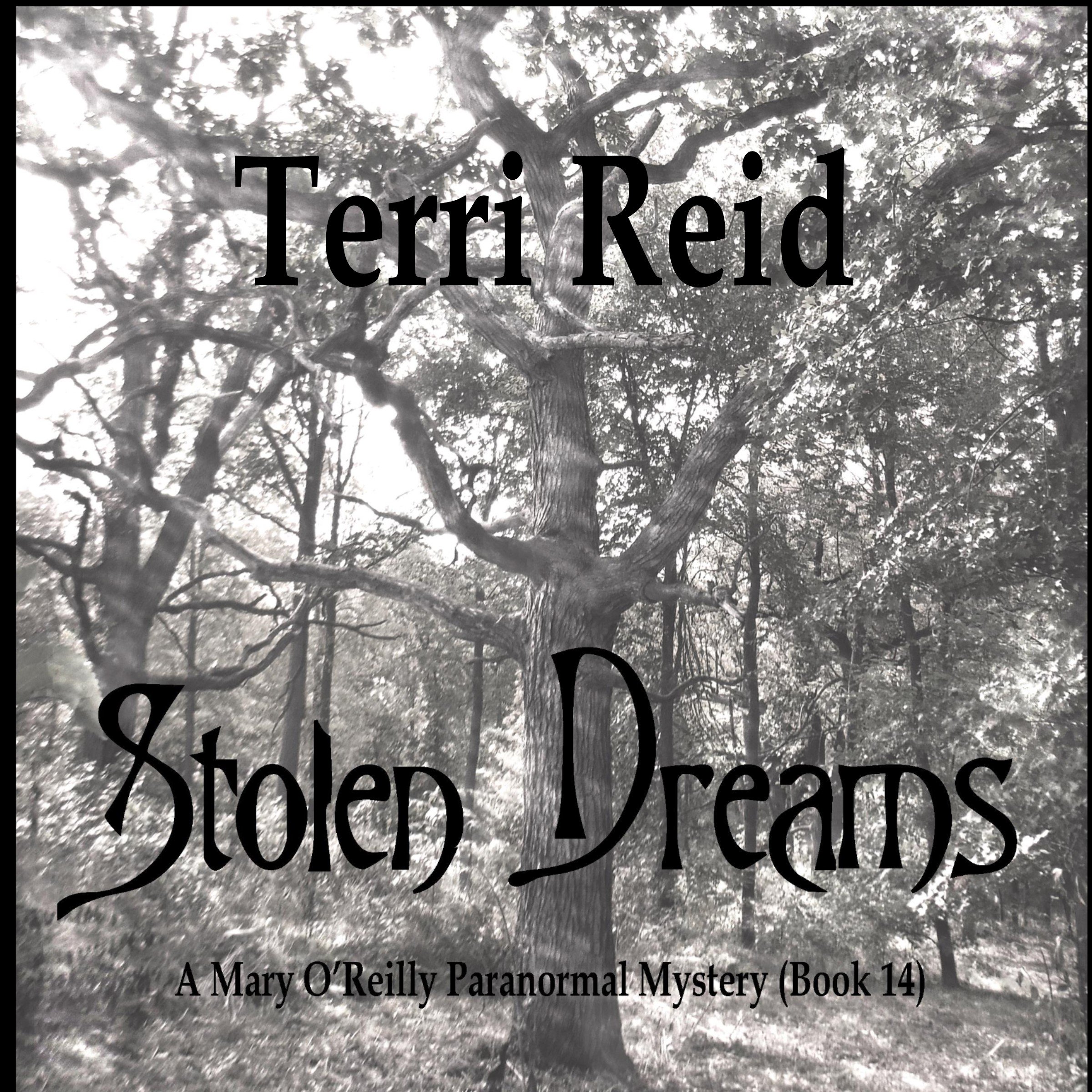 Cover art for Stolen Dreams: The Mary O'Reilly Paranormal Mystery Series, Volume 14