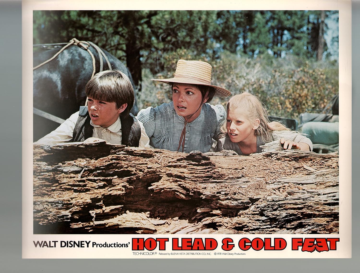 MOVIE POSTER Hot Lead & Cold FeetKaren Valentine11x14