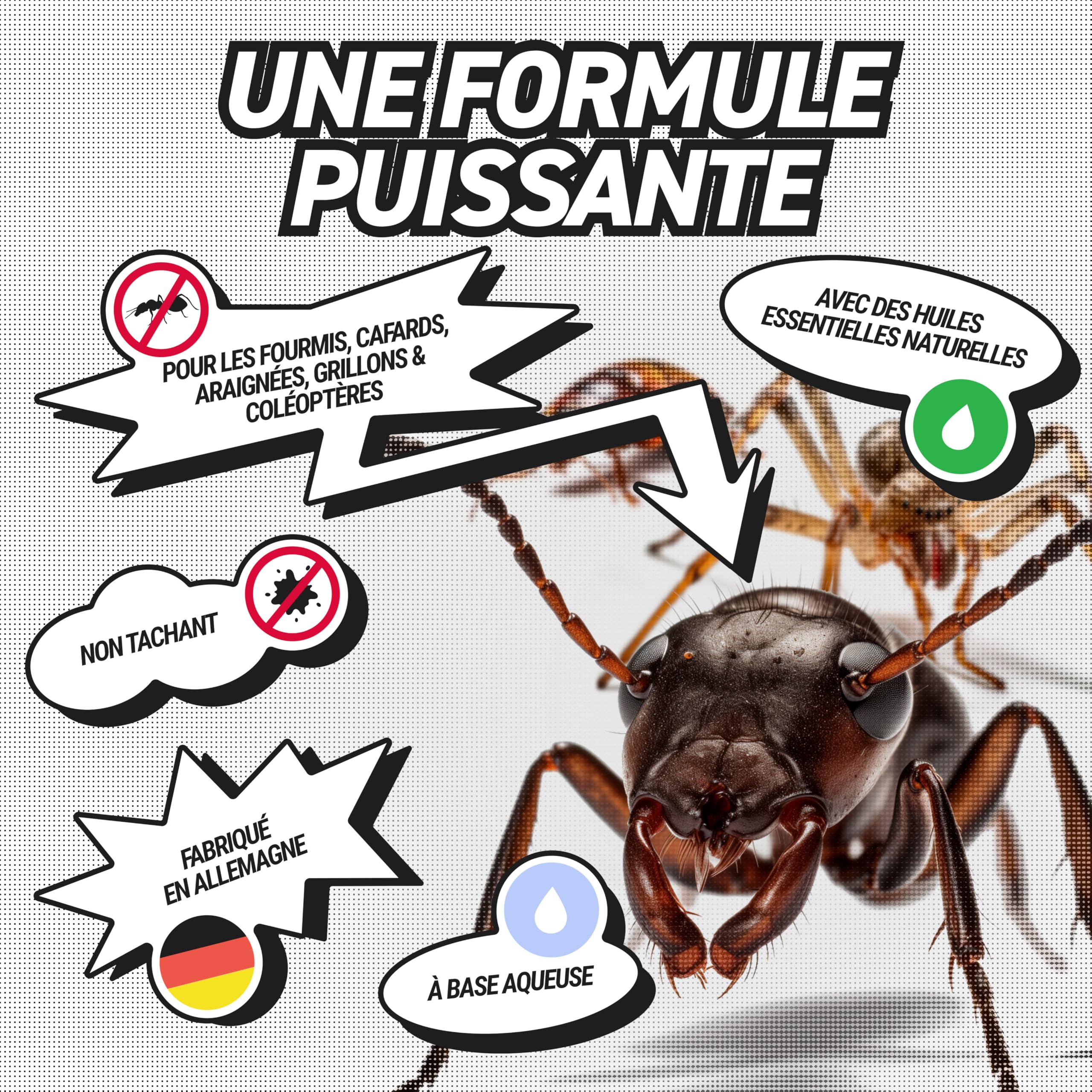 RepellShield® Barrage aux Insectes Rampants -0,5L- Prêt à l'Emploi - Non Tachant, Parfum Naturel Botanique - Usage Intérieur & Extérieur - Barrière à Insectes Multi-Usage aux Huiles Essentielles