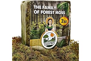 DUSPRO Dried Moss for Beautiful Crafts and DIY Creation