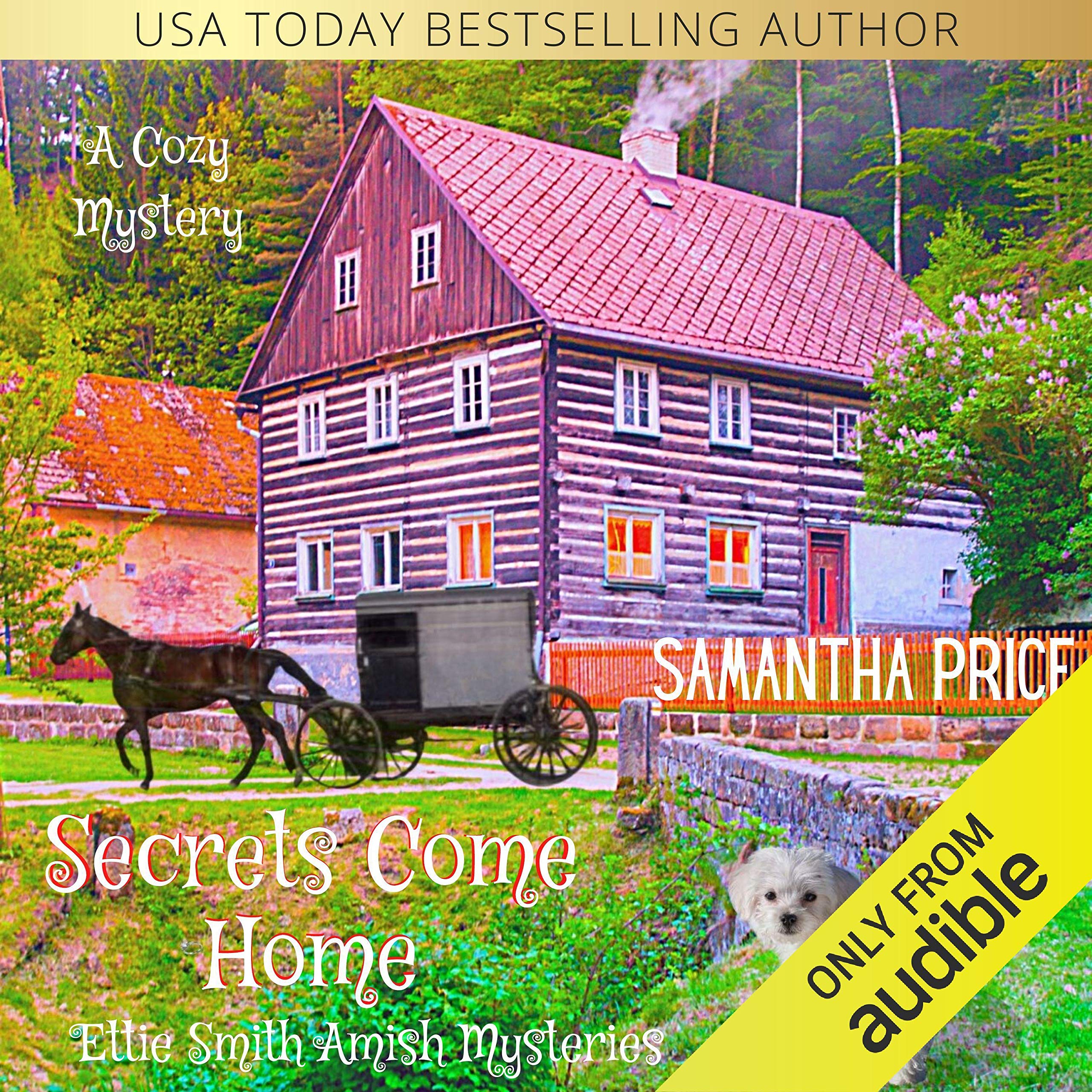 Cover art for Secrets Come Home