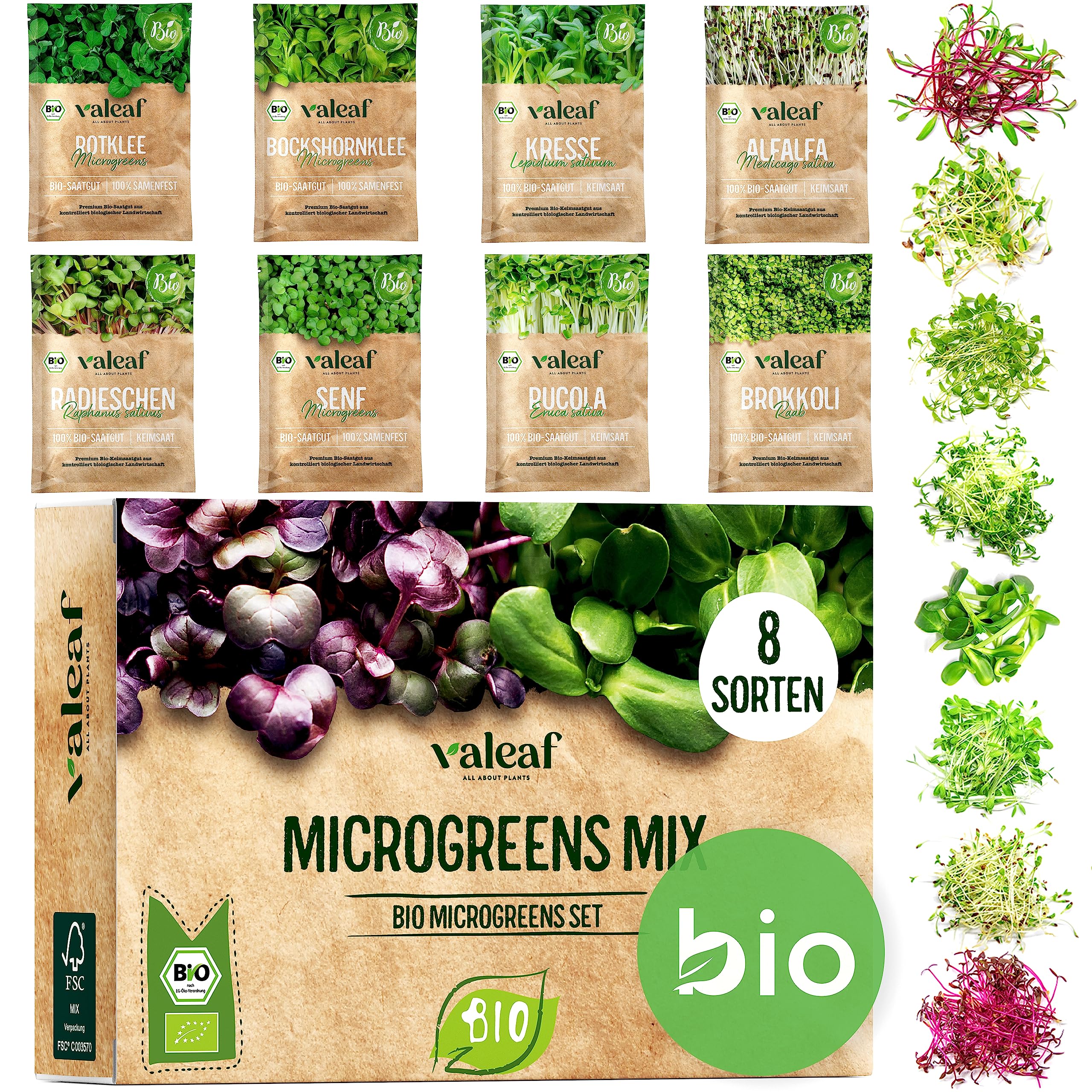 valeaf BIO Microgreens Set I 8 Sorten Sprossen Samen Pflanzset mit Keimsprossen und Microgreens Samen I inkl. Kressesamen, Alfalfa Samen I Samen Anzuchtset Microgreens Kit für Sprossen Keimgerät