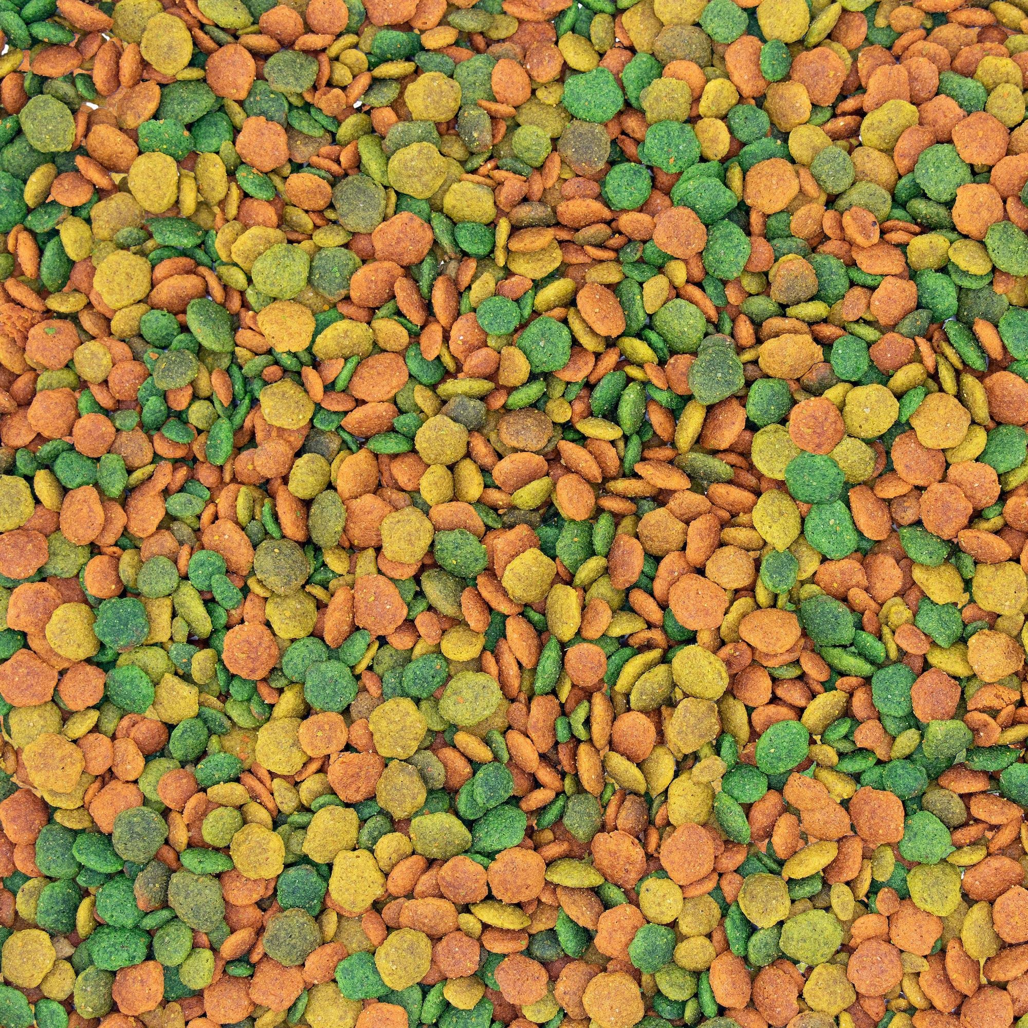 VERSELE-LAGA - NutriBird G14 Tropical - Extrudierte Pellets - Erhaltungsfutter für große Sittiche - Mehrfarbig - 10kg