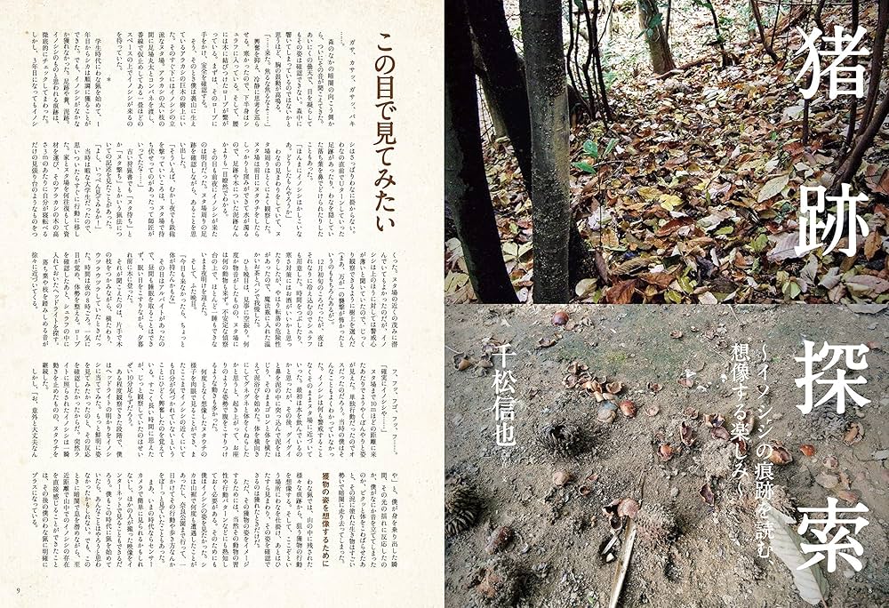 狩猟本セット 狩猟生活 2021VOL.8「イノシシ&シカ猟最前線」 (別冊山と溪谷