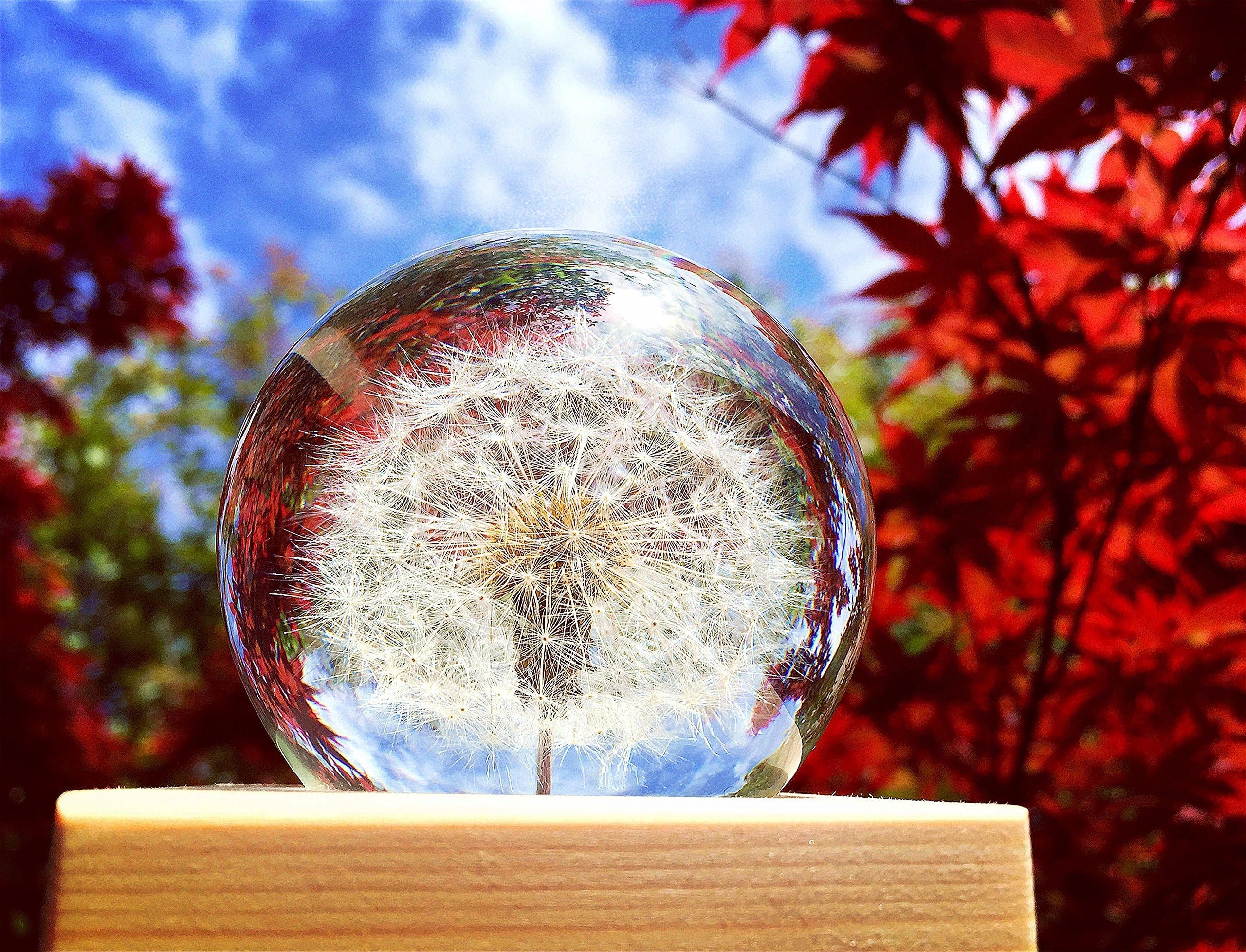 Unique Handmade Music Box with Real Dandelion Handcrafted in Crystal Ball Home / Office Decor Best Birthday Gifts