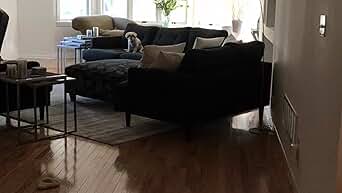 Brightech Sparq Hanging Led Arc Floor Lamp Over The Couch Contemporary Standing Lamp Modern Dimmable Light Arching From Behind The Sofa Living Room Office Pole Lamp Silver Amazon Com Brightech Sparq Hanging Led Arc Floor Lamp Over The Couch Contemporary Standing Lamp Modern Dimmable Light Arching From Behind The Sofa Living Room Office Pole Lamp Silver Amazon Com