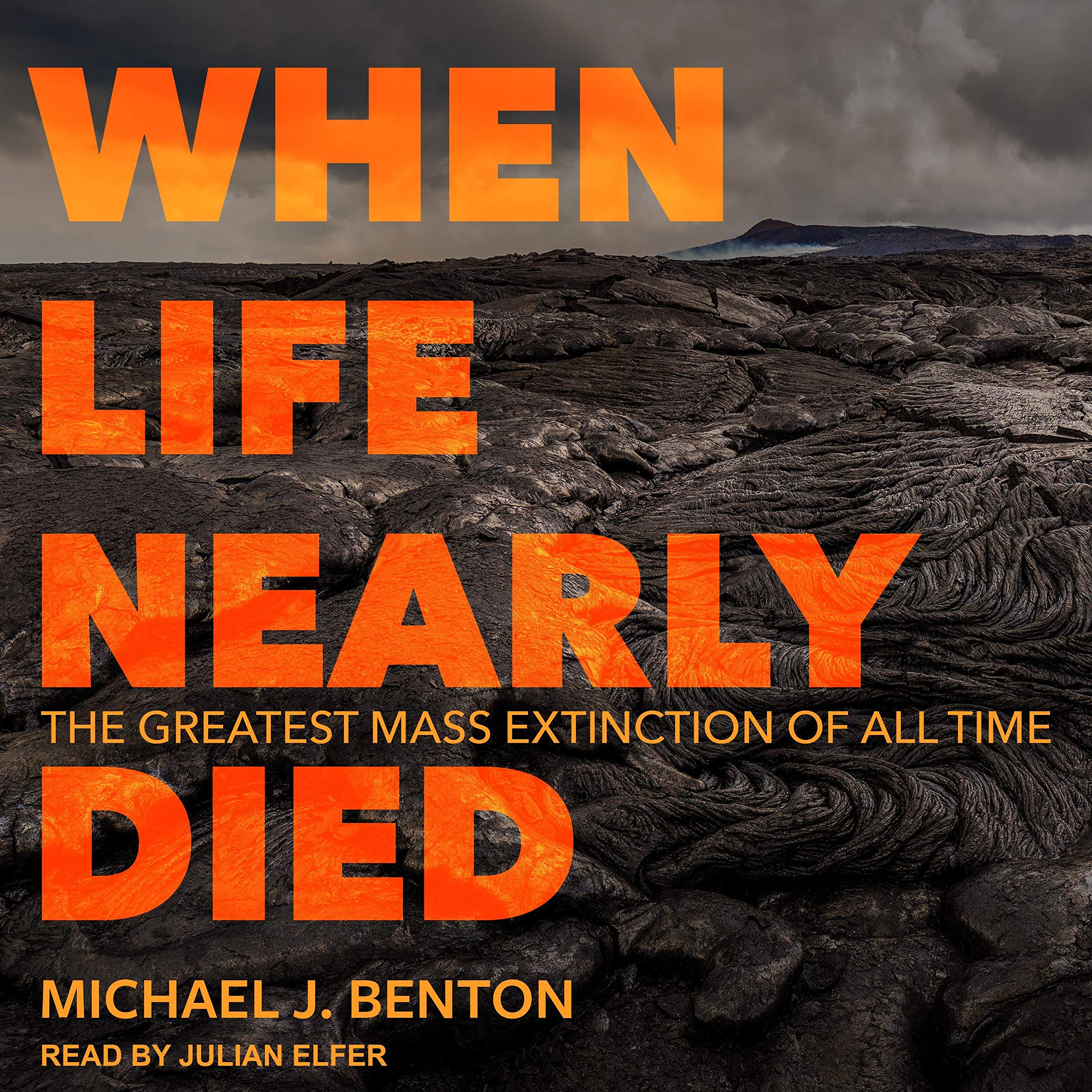Cover art for When Life Nearly Died