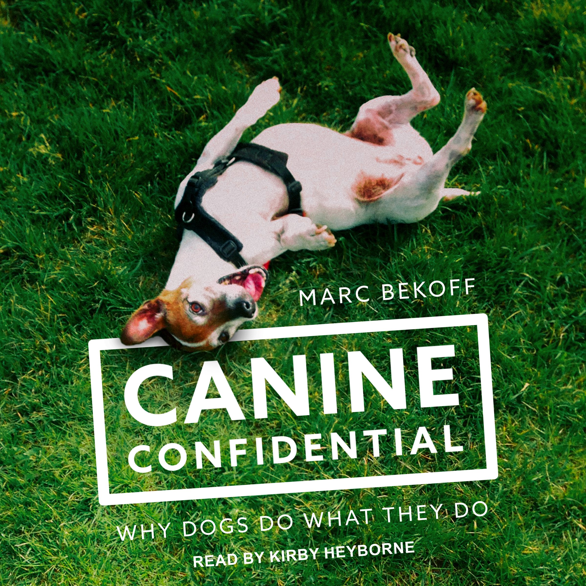 Cover art for Canine Confidential