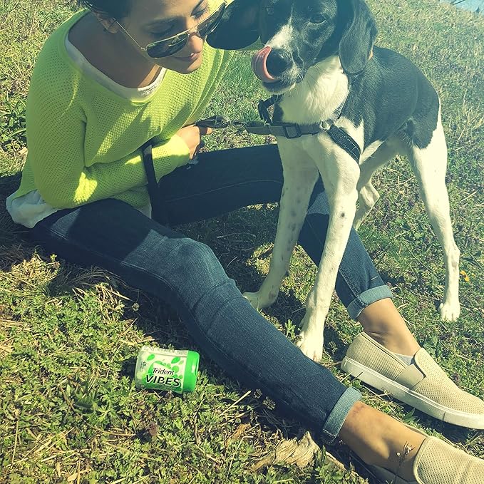 Chicle Trident Sin Azúcar Sabor Spearmint Rush, Pack de 40 Unidades miniatura 9