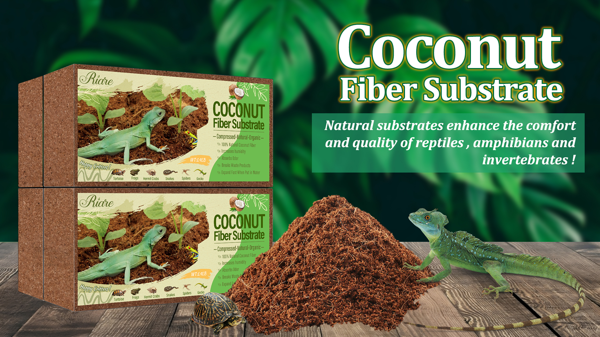 Riare 6 Pack Natural Coconut Fiber Substrate for Reptile- Premium Compressed Coconut Husk Terrarium Bedding for Reptile, Tortoise, Frogs, Snakes Hermit Crabs, Burrowing Animals - image 8