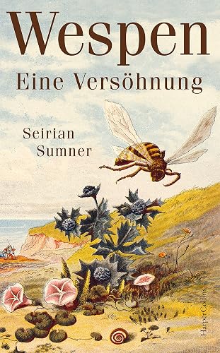 Wespen. Eine Versöhnung: Longlist »Bestes Wissenschaftsbuch des Jahres« 2024 | Platz 10 der WELT-Sachbuchbestenliste Oktober | Wer Bienen mag, wird Wespen lieben | Geheime Wunder der Evolution