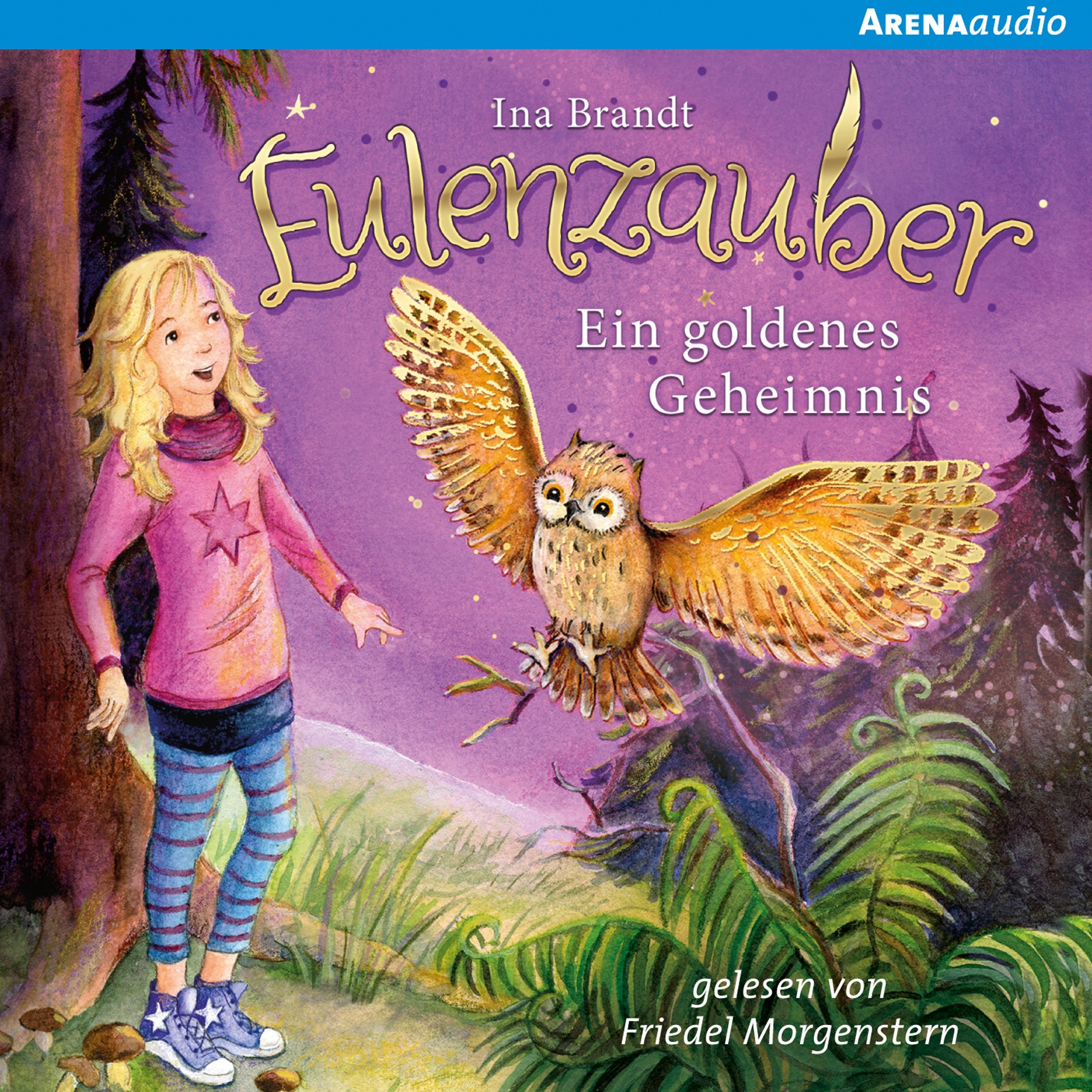 Cover art for Ein goldenes Geheimnis