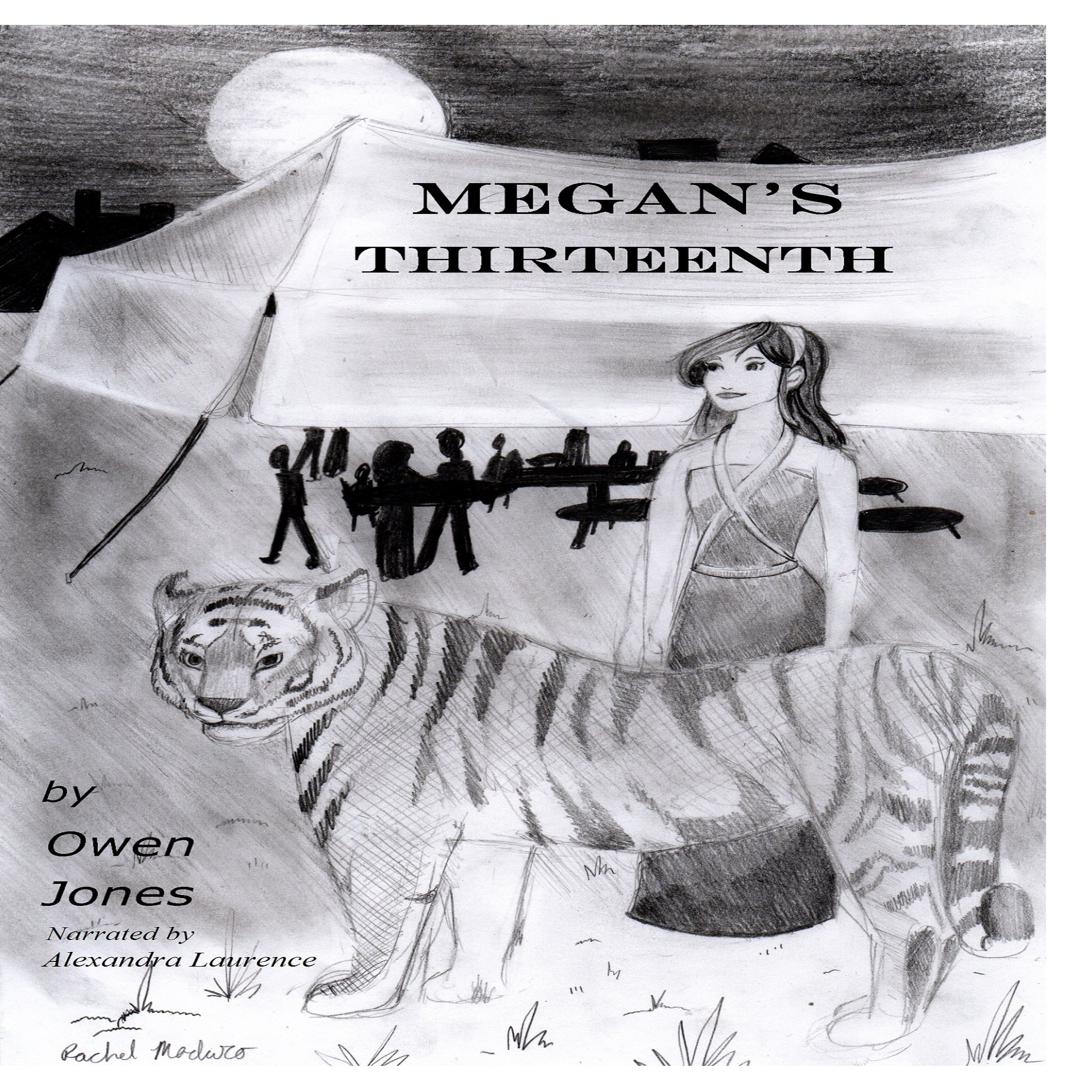 Cover art for Megan's Thirteenth: A Spirit Guide, a Ghost Tiger, and One Scary Mother!