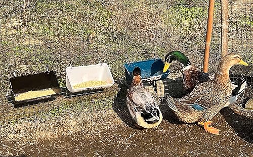 Miniatura 5 de Paquete de 2 canales de alimentación y cubo de agua con clips, para cabras, pollos, patos, ovejas, lechones, ciervos, gansos, pavos, suministros de