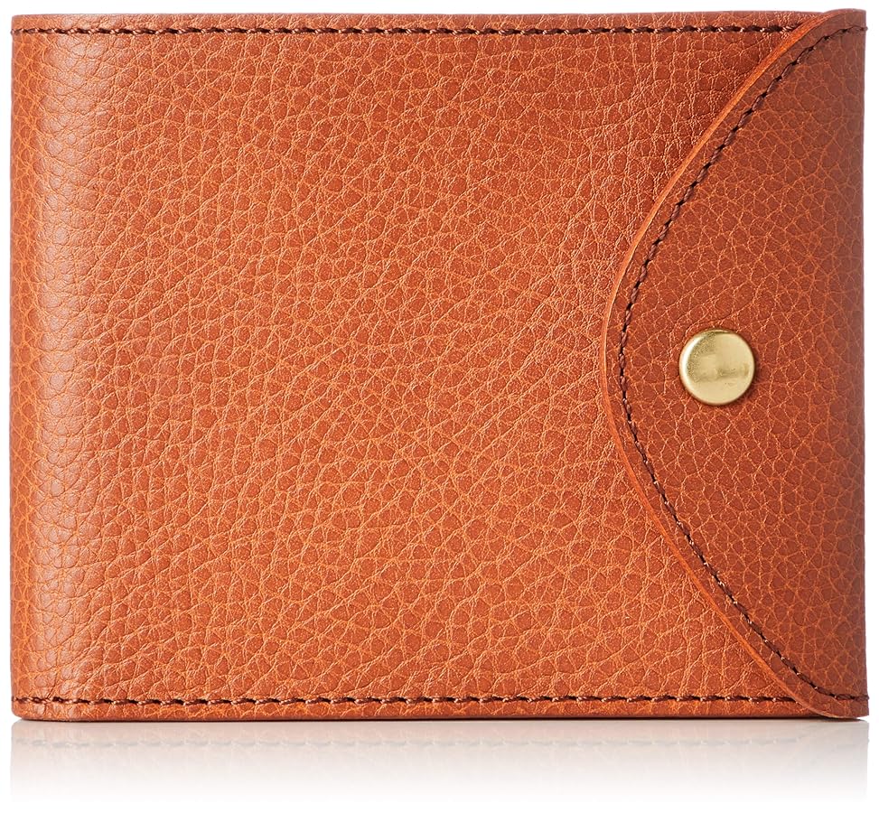 PRARE 二つ折り財布 Amazon | プレリー] 二つ折り財布(小銭入れなし) ミニマル
