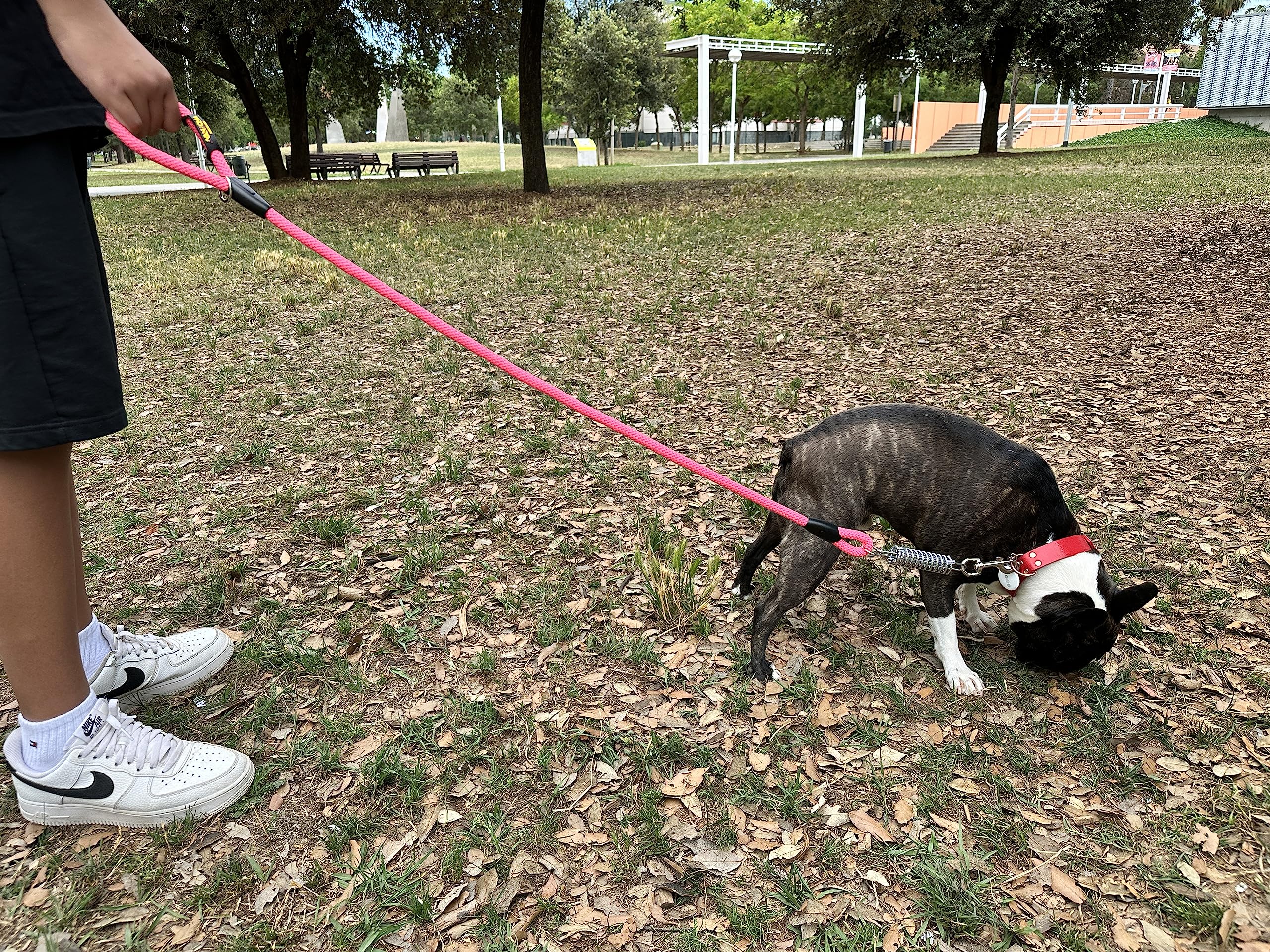 Guinzaglio Per Cani Medio-Grandi Con Ammortizzatore - Antistrappo, 120cm, Verde Fluoro - Foto 8