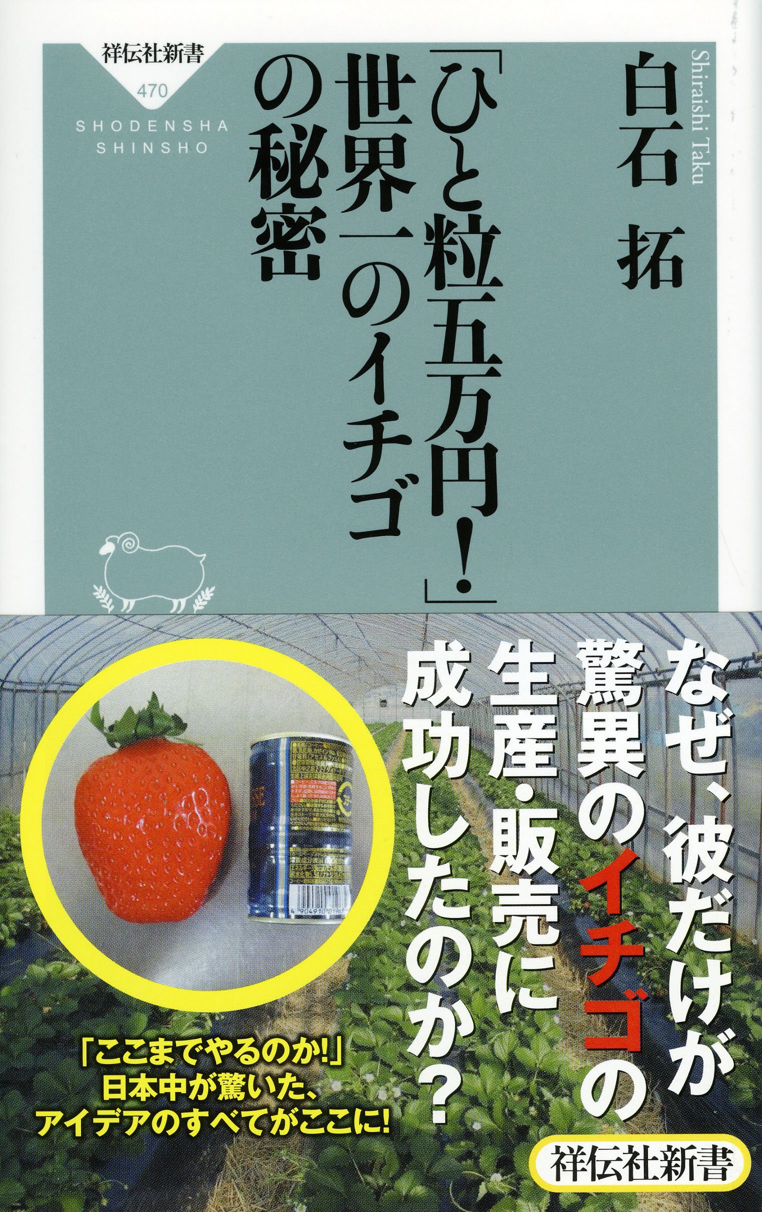 イチゴさん専用 純銀製 75ｇ 平成5年5月5日記念メダル 特別セット イチゴさん専用 純銀製 75g 平成5年5月5日記念メダル 特別