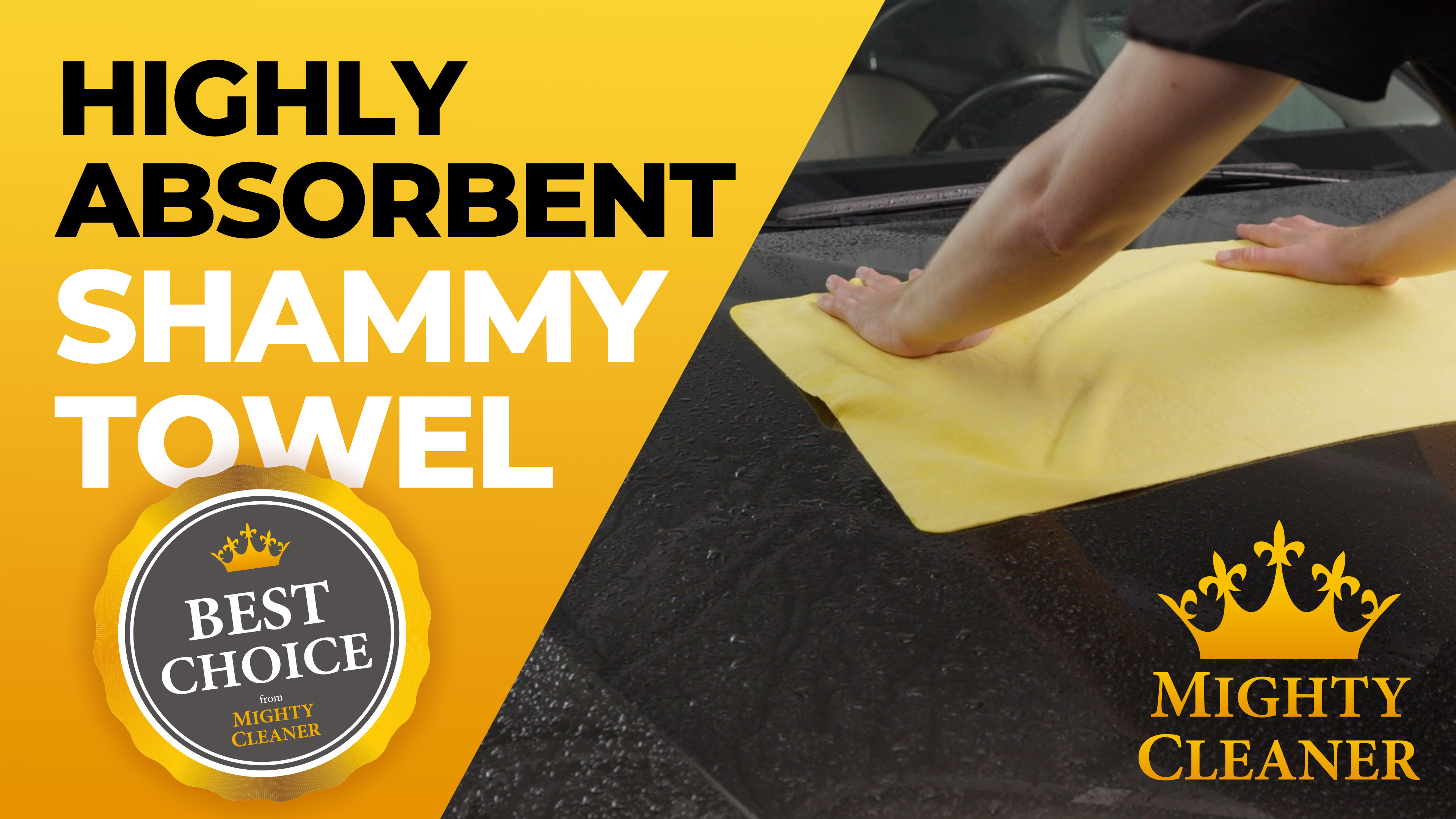 Amazon.com: Premium 2pk Mini +1 Free Shammy Cloth for Car Drying