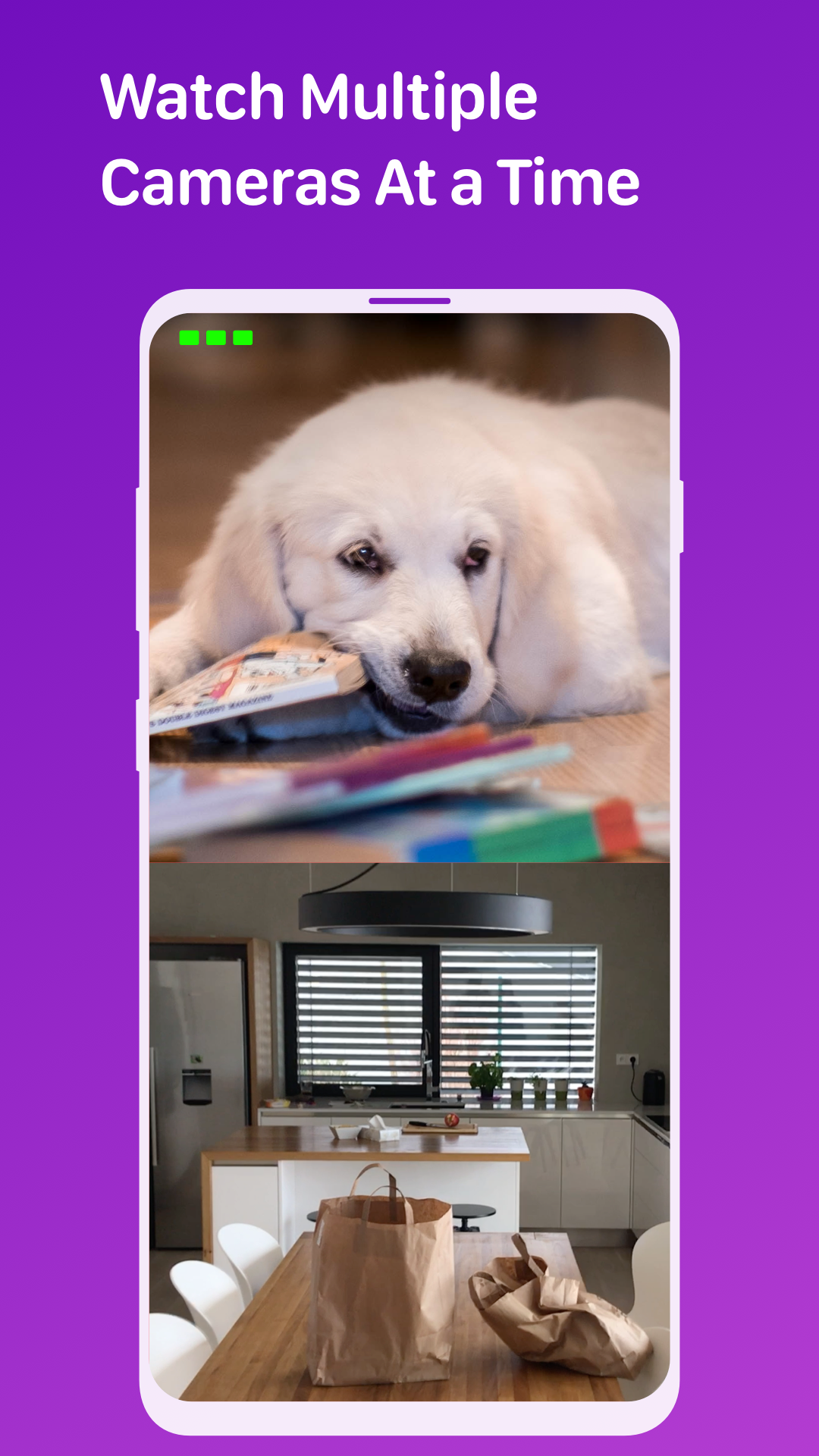 Pet Monitor VIGI App on Amazon Appstore