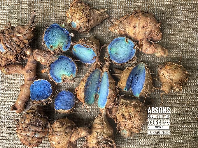 Black Turmeric Seeds, 1Kg