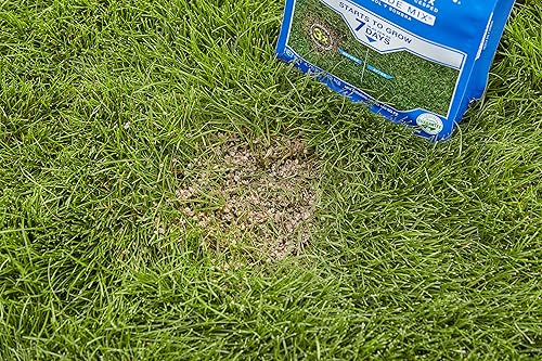 Miniatura 4 de Scotts Mezcla de reparación de césped PatchMaster para sol y sombra 475 libras