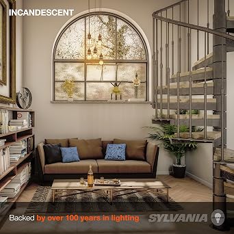 Sylvania 40 Watt Vanity Light Bulbs 6 Pack - Incandescent E26 Medium Base Globe Bulbs for Bathroom, Dimmable G25 Type G Round Vanity Bulbs 40W, 130V Clear Warm White
