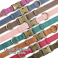 Vista 7 de Didog Soft PU Leather Dog Collar, Stylish Quick Released Dog Collars for Small Dogs, Easy Clean Adjustable Pet Collar for Daily Walking, Brown, S